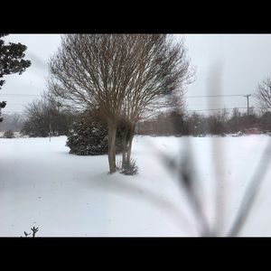 Meet your Posher, Kris